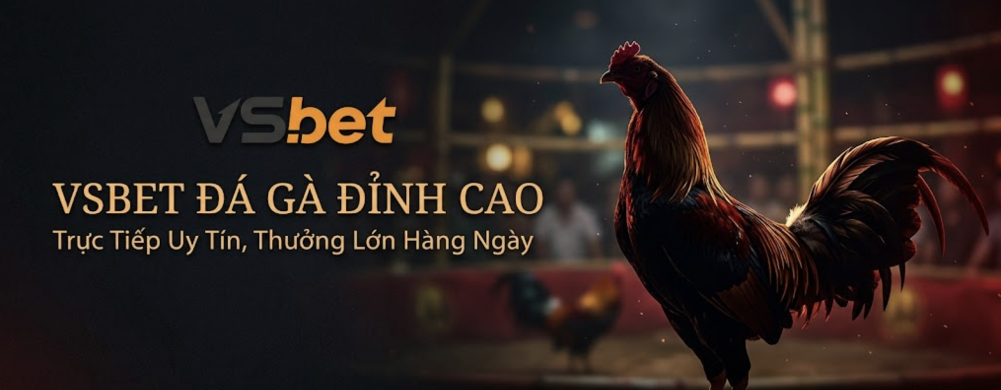 Đá Gà VSBET